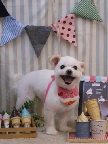 20250517こはるちゃん